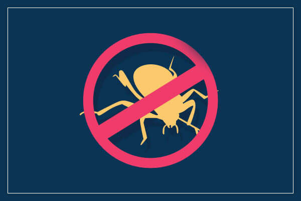 Bed Bug Treatment in Hyderabad