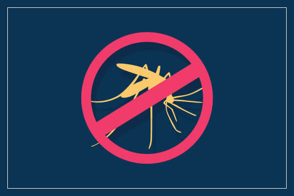 mosquito Control